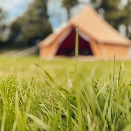 Fully Furnished Bell Tent 1 St Austell Zewnętrze zdjęcie
