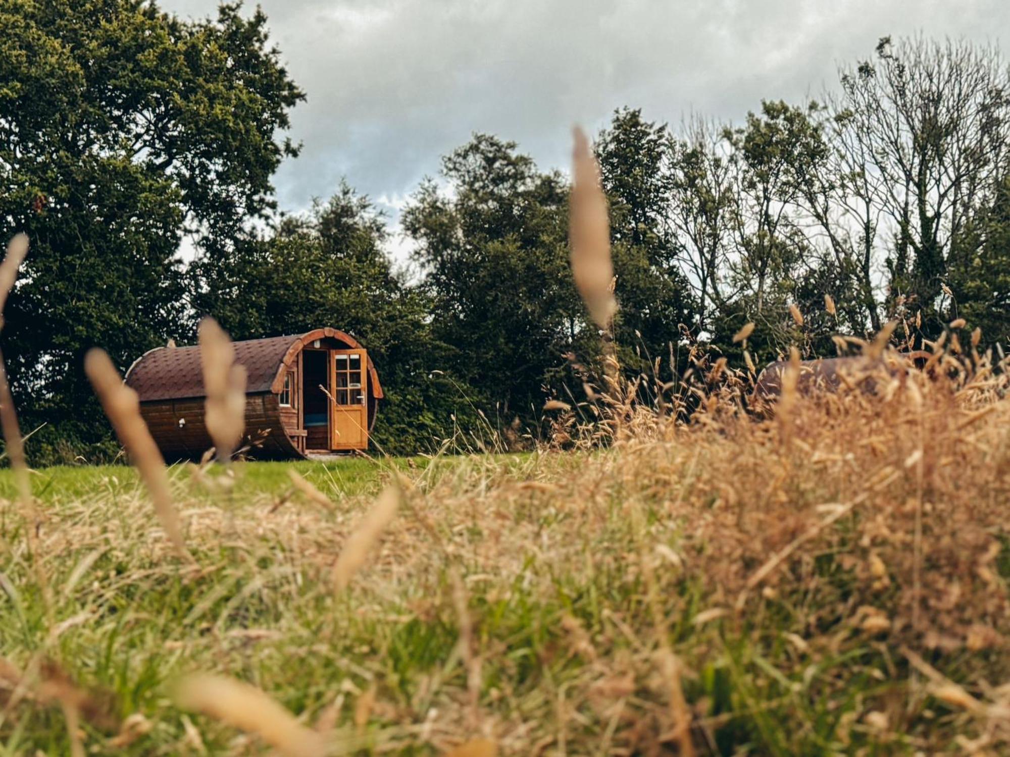 Fully Furnished Bell Tent 1 St Austell Zewnętrze zdjęcie