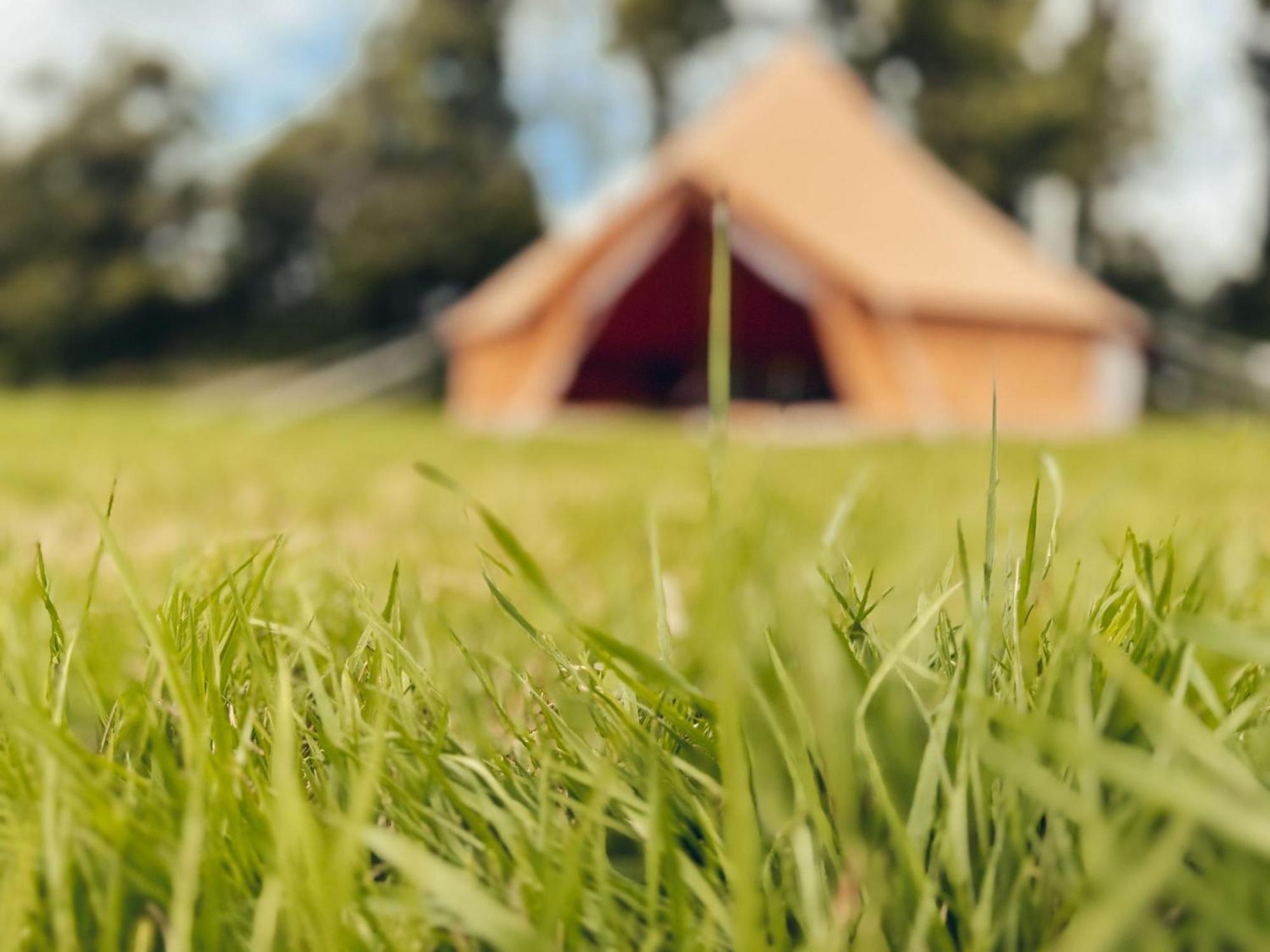 Fully Furnished Bell Tent 1 St Austell Zewnętrze zdjęcie